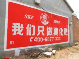 梨林刷墙广告”蕴含了时代命题