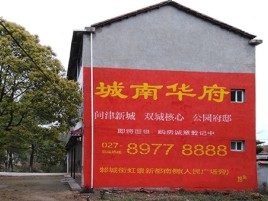 梨林百分之90的人都不了解的农村墙体广告