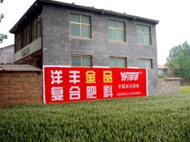 梨林如何让墙体广告展现最大化效果