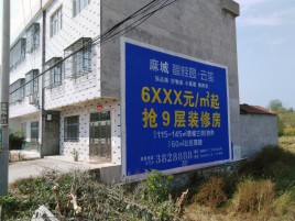 梨林墙体广告质量分析