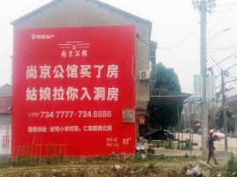 梨林墙体广告在乡镇、农村市场的媒体优势