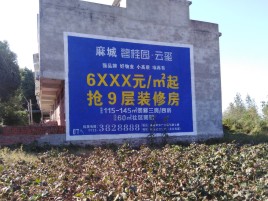 梨林品牌公司青睐的墙体广告