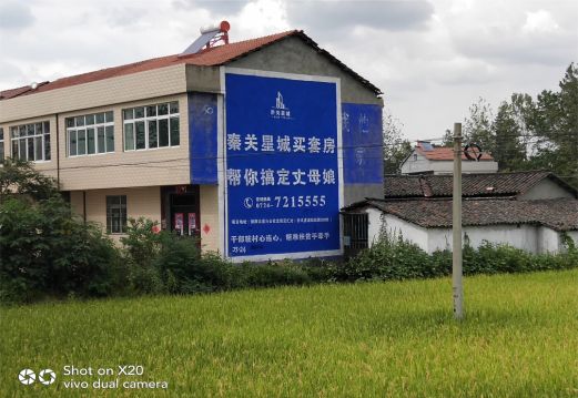 梨林决定墙体广告价格的因素有哪些?