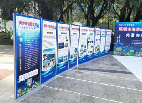 梨林KT板的种类和知识。